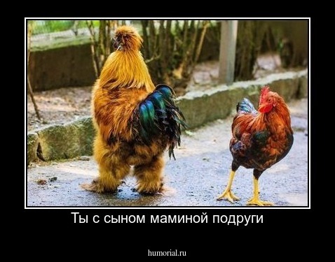 Ты с сыном маминой подруги
