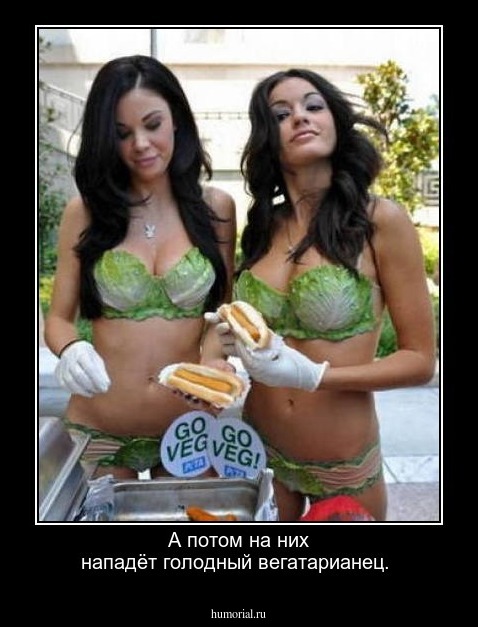 А потом на них нападёт голодный вегатарианец.