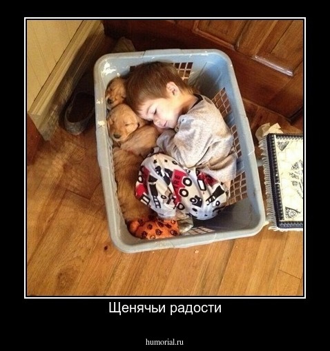 Щенячьи радости