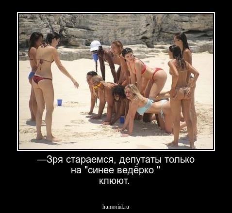 —Зря стараемся, депутаты только на "синее ведёрко " клюют. 