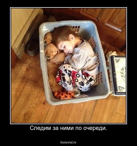 Следим за ними по очереди.