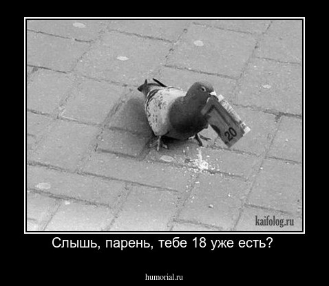 Слышь, парень, тебе 18 уже есть? 