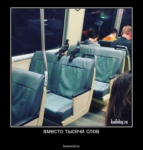 вместо тысячи слов