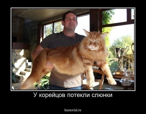 У корейцов потекли слюнки