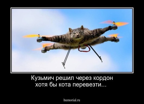 Кузьмич решил через кордон хотя бы кота перевезти...