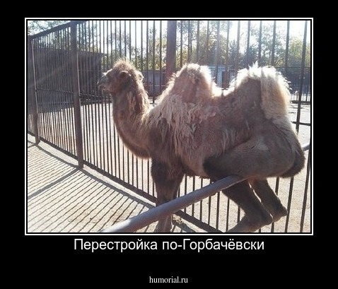 Перестройка по-Горбачёвски