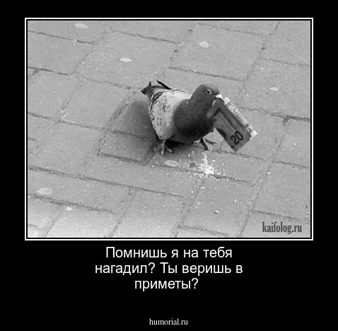 Помнишь я на тебя нагадил? Ты веришь в приметы?