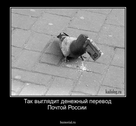 Так выглядит денежный перевод Почтой России