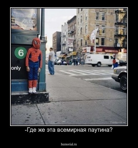 -Где же эта всемирная паутина?