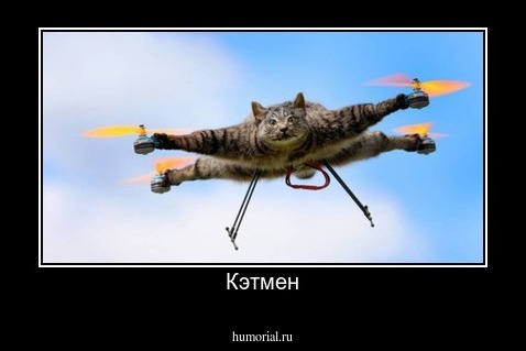 Кэтмен