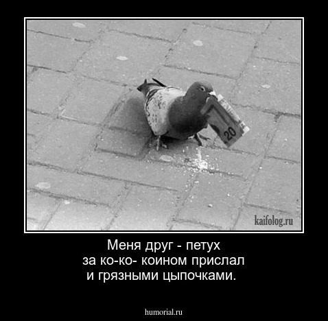 Меня друг - петух за ко-ко- коином прислал и грязными цыпочками.