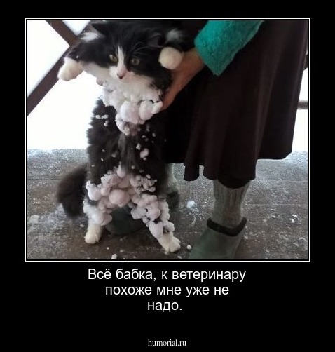 Всё бабка, к ветеринару похоже мне уже  не надо.   