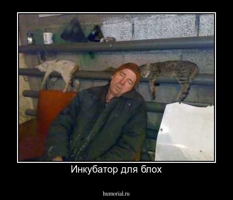 Инкубатор для блох
