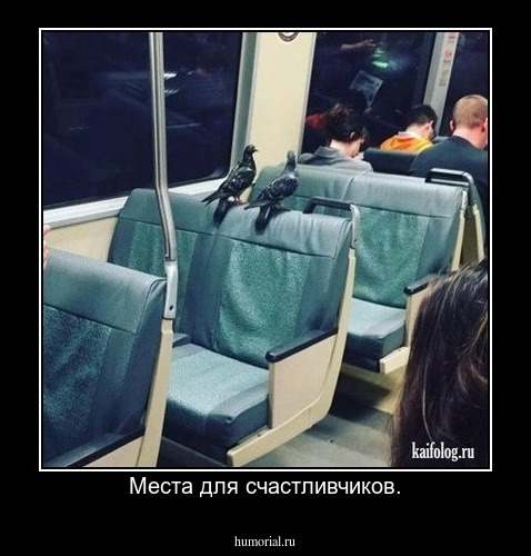 Места для счастливчиков.