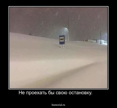 Не проехать бы свою остановку.    