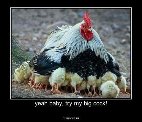 yeah baby, try my big cock!