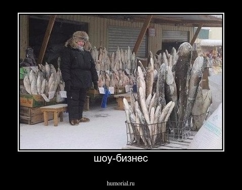 шоу-бизнес