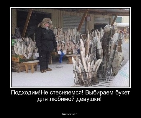Подходим!Не стесняемся! Выбираем букет для любимой девушки!