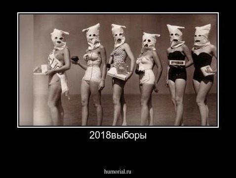 2018выборы
