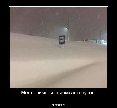 Место зимней спячки автобусов.