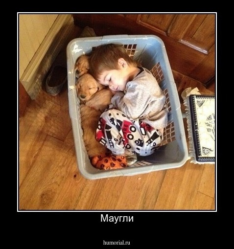 Маугли