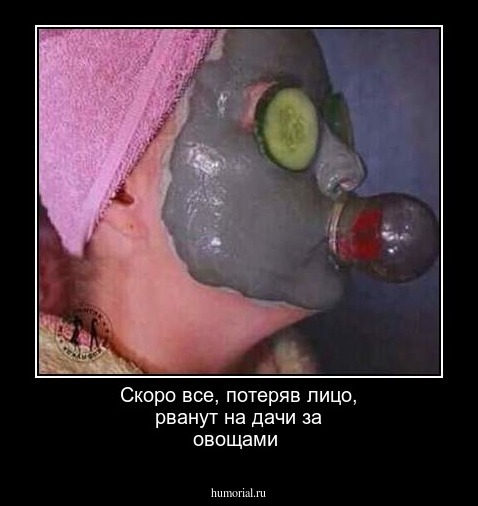 Скоро все, потеряв лицо, рванут на дачи за овощами