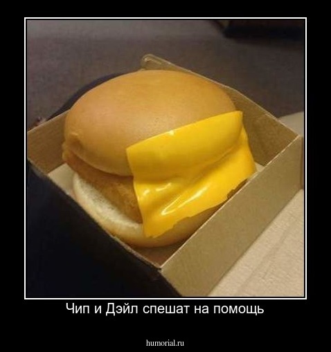 Чип и Дэйл спешат на помощь