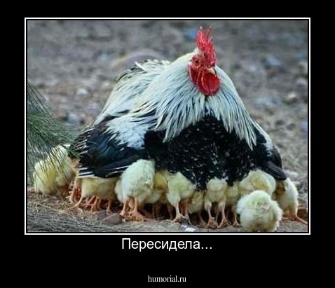 Пересидела...