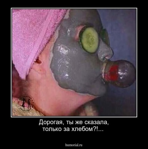 Дорогая, ты же сказала, только за хлебом?!...