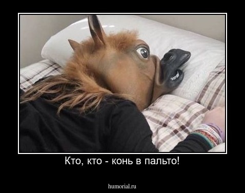 Кто, кто - конь в пальто!