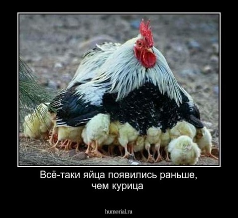 Всё-таки яйца появились  раньше, чем  курица