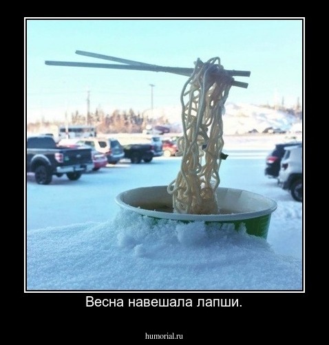 Весна навешала лапши.