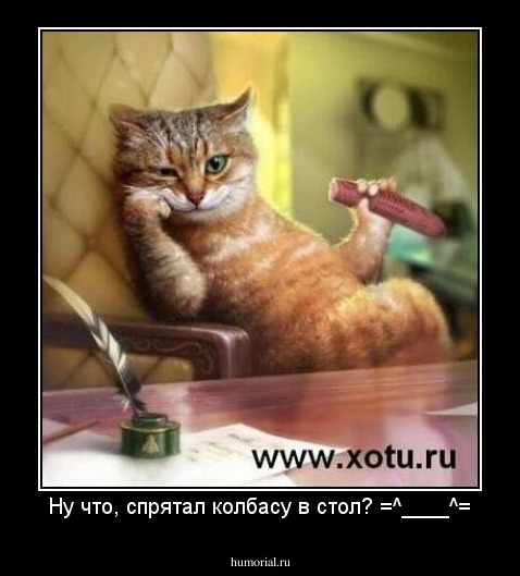 Ну что, спрятал колбасу в стол? =^____^=