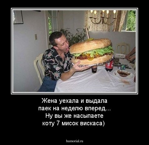 Жена уехала и выдала паек на неделю вперед...  Ну вы же насыпаете коту 7 мисок вискаса) 