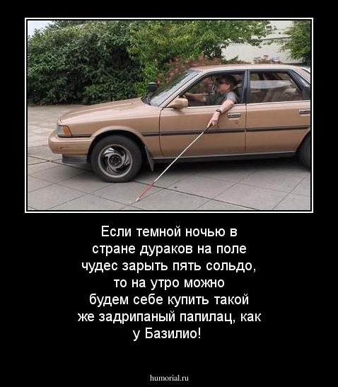 Если темной ночью в стране дураков на поле чудес зарыть пять сольдо, то на утро можно будем себе купить такой  же задрипаный папилац, как у Базилио!