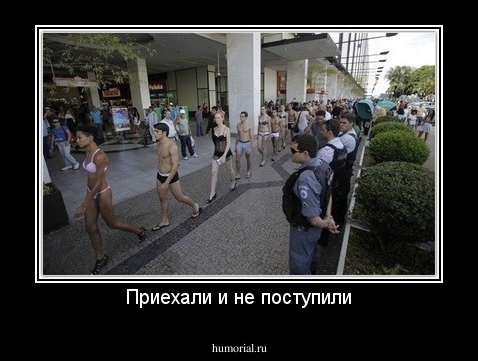 Приехали и не поступили