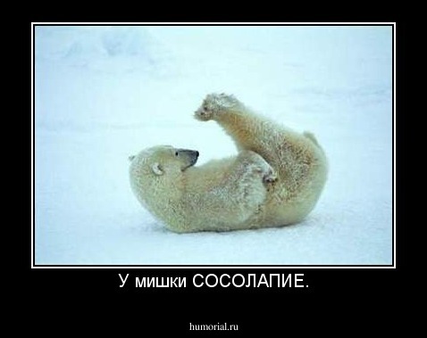 У мишки СОСОЛАПИЕ.