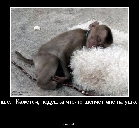 Тише…Кажется, подушка что-то шепчет мне на ушко...
