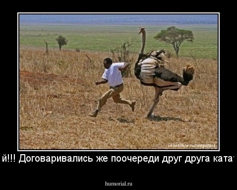 Стой!!! Договаривались же поочереди друг друга катать!!!