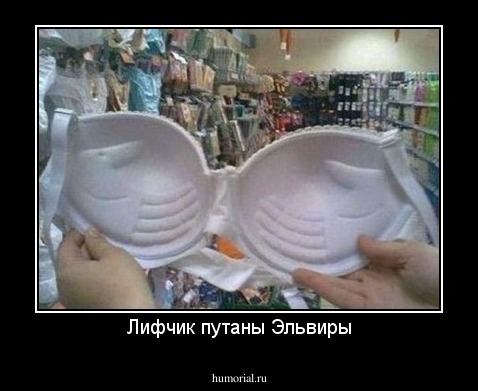 Лифчик путаны Эльвиры