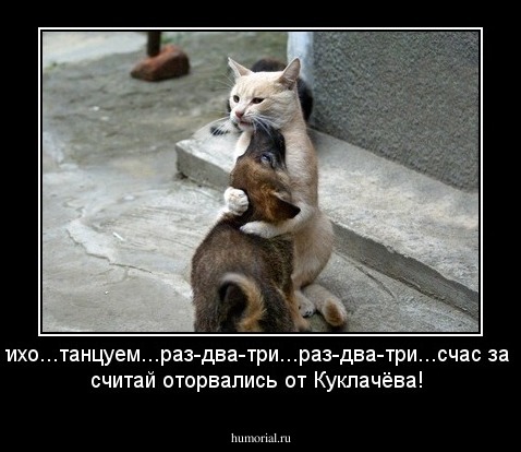 Тихо,тихо...танцуем...раз-два-три...раз-два-три...счас за угол и считай оторвались от Куклачёва!