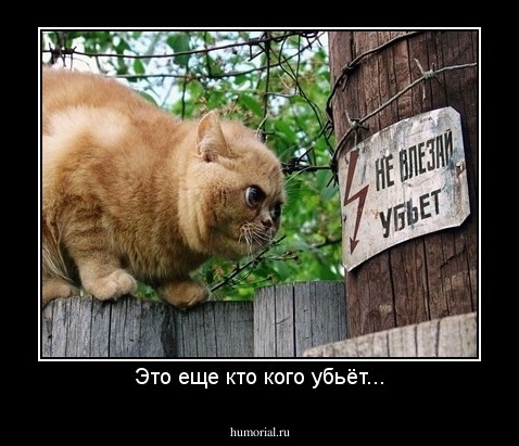 Это еще кто кого убьёт...