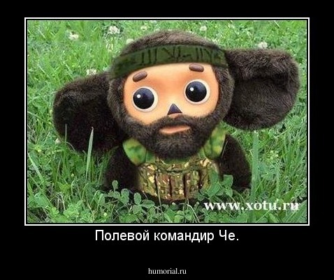 Полевой командир Че.