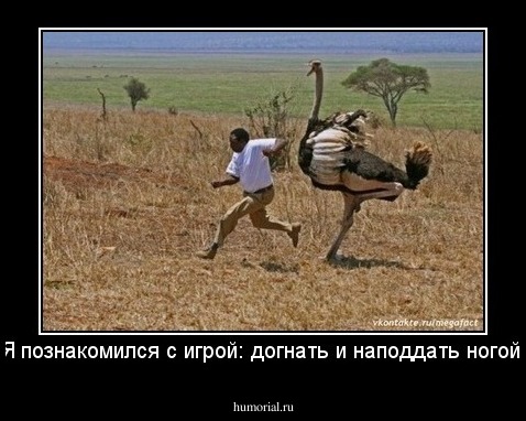 Я познакомился с игрой: догнать и наподдать ногой!