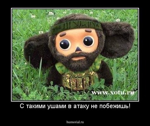С такими ушами в атаку не побежишь!