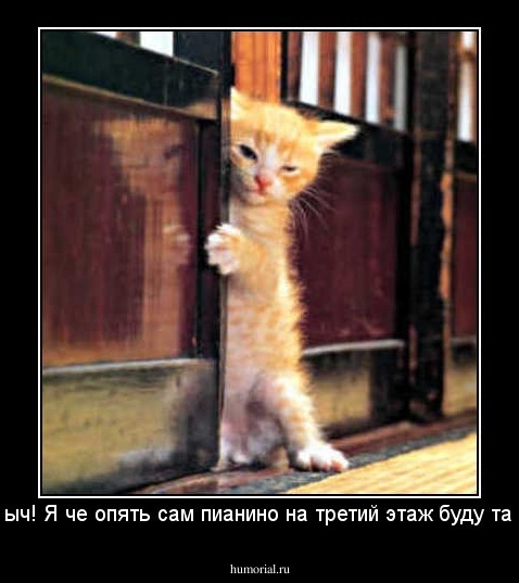 михалыч! Я че опять сам пианино на третий этаж буду тащить?