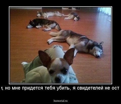 извини, но мне придется тебя убить, я свидетелей не оставляю