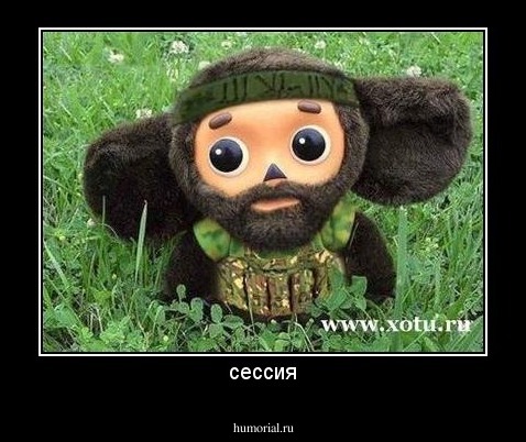 сессия