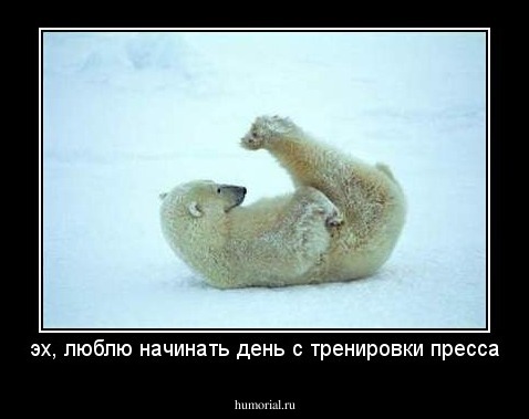 эх, люблю начинать день с тренировки пресса