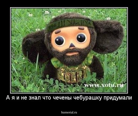 А я и не знал что чечены чебурашку придумали